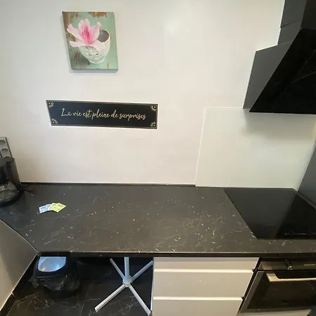 Douce Parenthèse à - 411 Appartement Rouen
